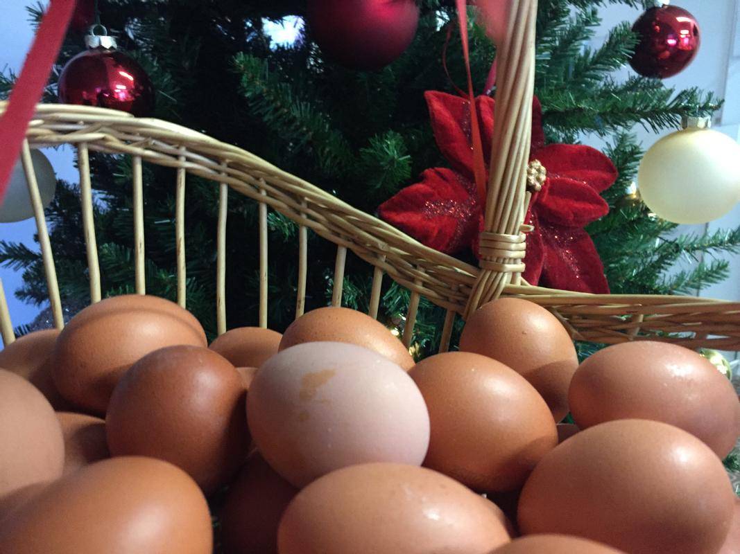 Kakšno bo leto 2021 na borzah, je seveda težko reči, kot vedno pa velja upoštevati staro modrost, da se vseh jajc ne sme nositi v eni košari oziroma da je treba portfelj čim bolj razpršiti. Foto: MMC RTV SLO/T. O.