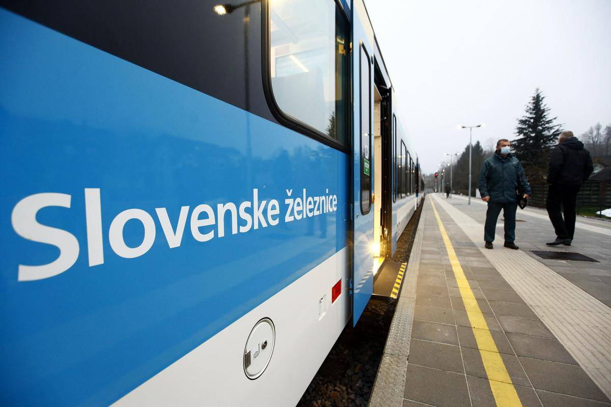  Slovenski državni holding (SDH) je edini družbenik Slovenskih železnic. Foto: BoBo
