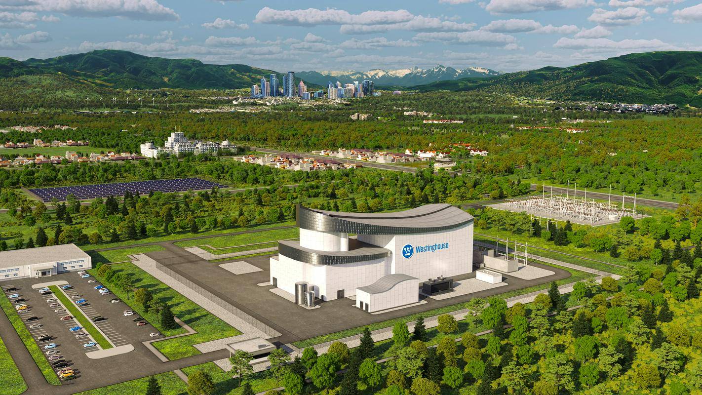AP300 je enoznačni tlačnovodni reaktor z zmogljivostjo 300 megavatov. Foto: Reuters