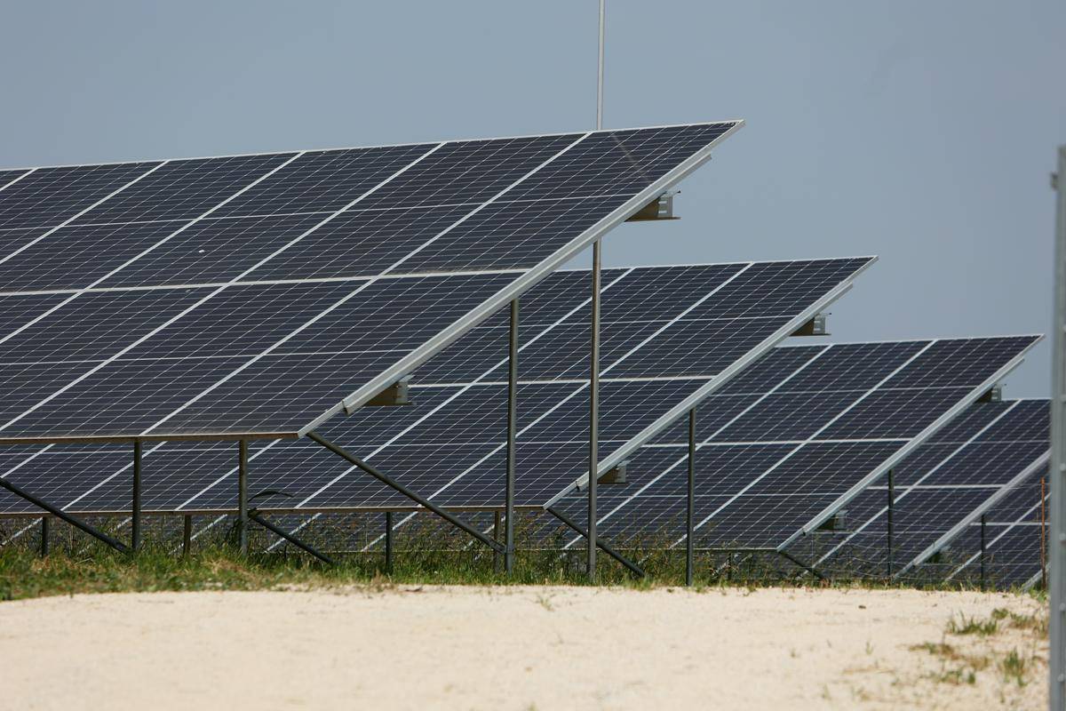 Sončna elektrarna pokriva šest hektarjev zemljišča, sestavlja pa jo približno 13.200 panelov. Foto: BoBo