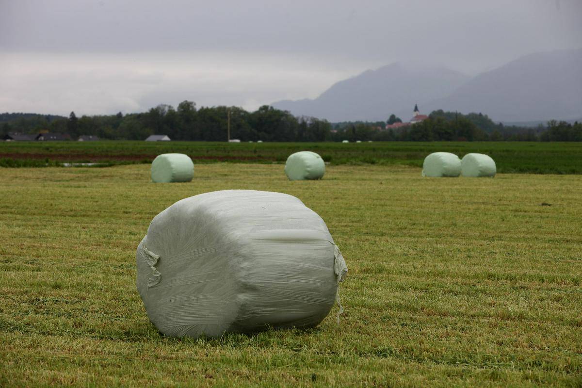 V neurjih in poplavah so bili zaliti številne bale in silosi, zato se številni živinorejci spopadajo s pomanjkanjem krme za svoje živali. Foto: BoBo