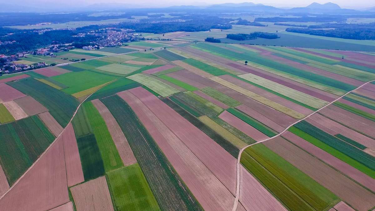 V vzhodni Sloveniji je bilo za hektar obdelovalnih površin treba v povprečju odšteti 20.075 evrov, v zahodnem delu države pa je bila povprečna cena 39.494 evrov. Foto: RTV SLO/ Ergyn Zjeci