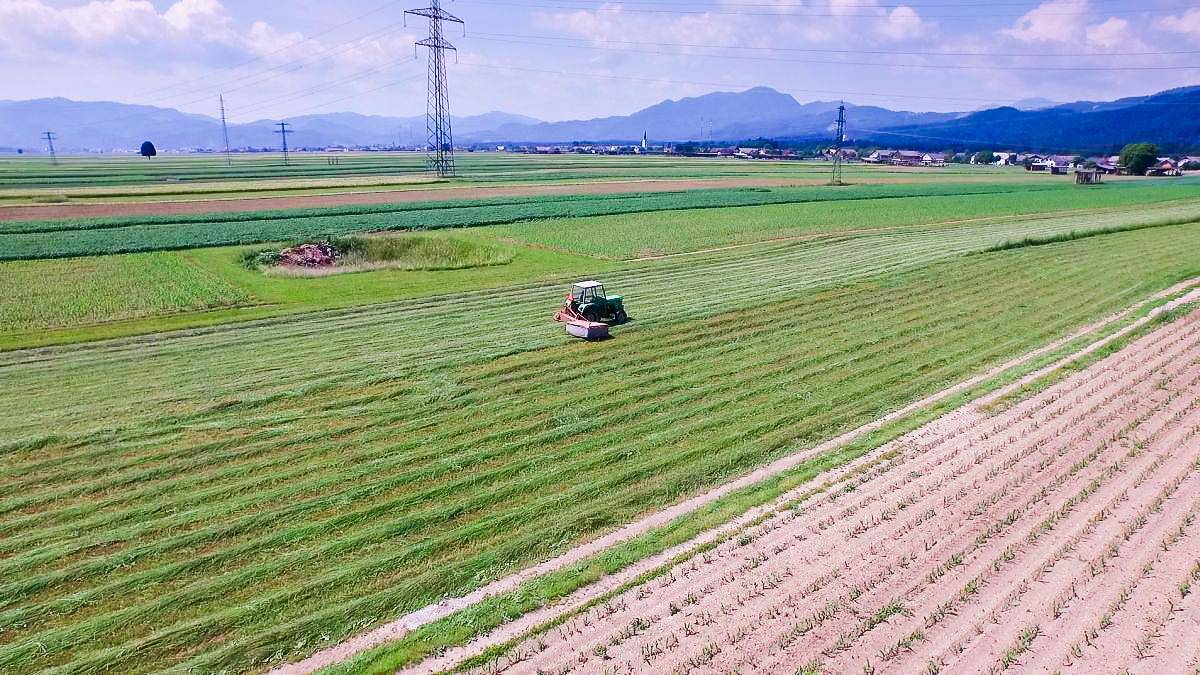 Skupina Panvita velja za enega največjih igralcev na slovenskem kmetijskem in živilskem trgu (fotografija je simbolična). Foto: RTV SLO/ Ergyn Zjeci