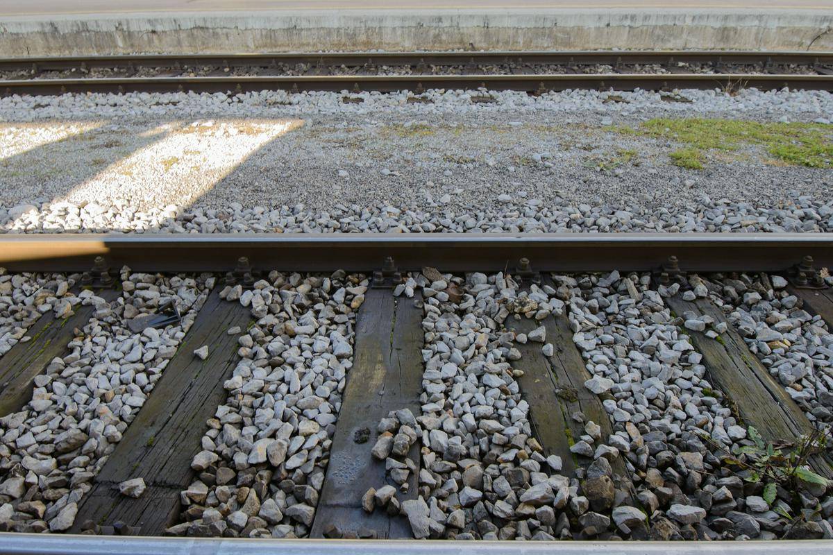 Foto: MMC RTV Slovenija/Maja Ikanovič