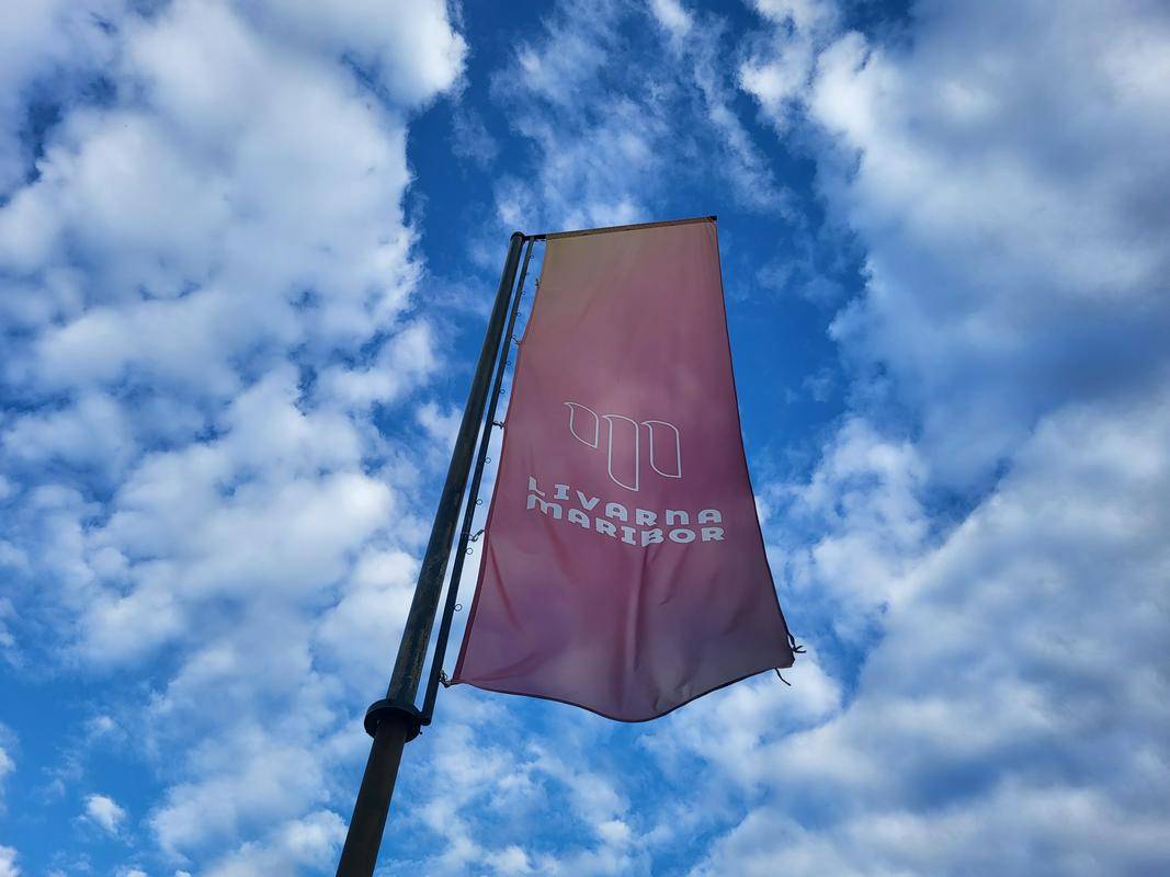 Arsenovič je ponovil, da bi bil 